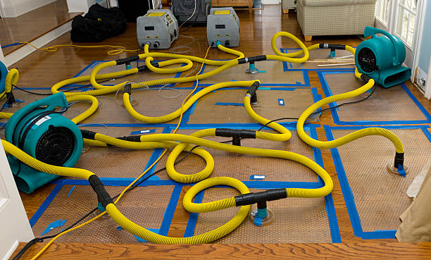 Professional Water Extraction technician working in Seagoville, TX